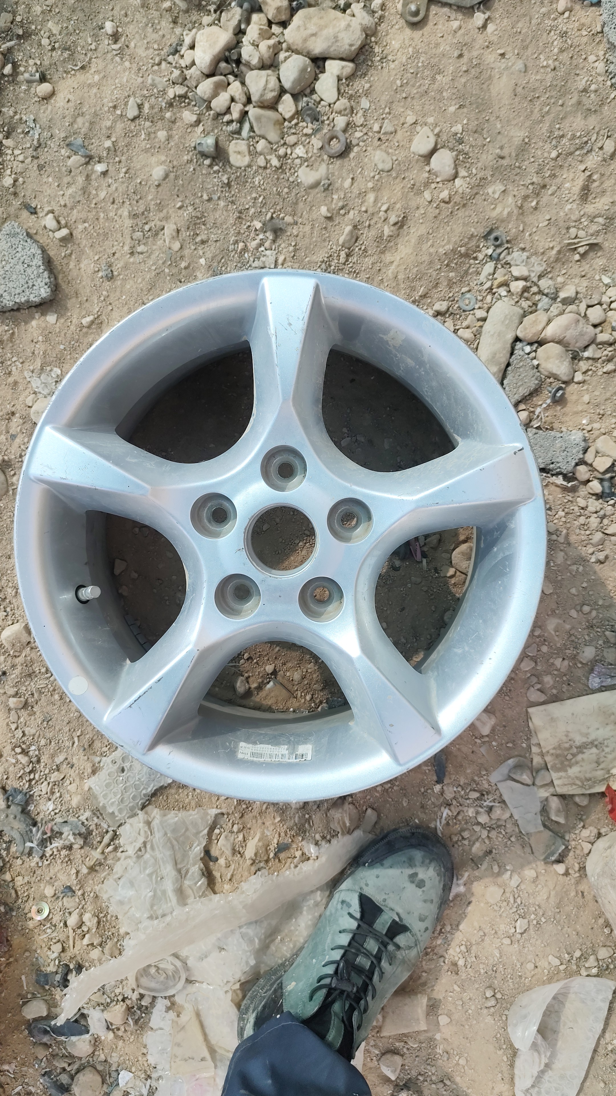 رینگ چرخ جیلی سواری (زیر صفری)