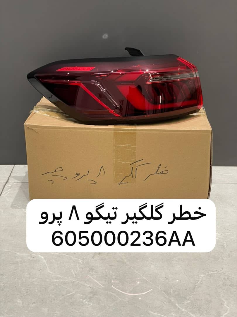 خطر عقب چپ تیگو ۸ پرو