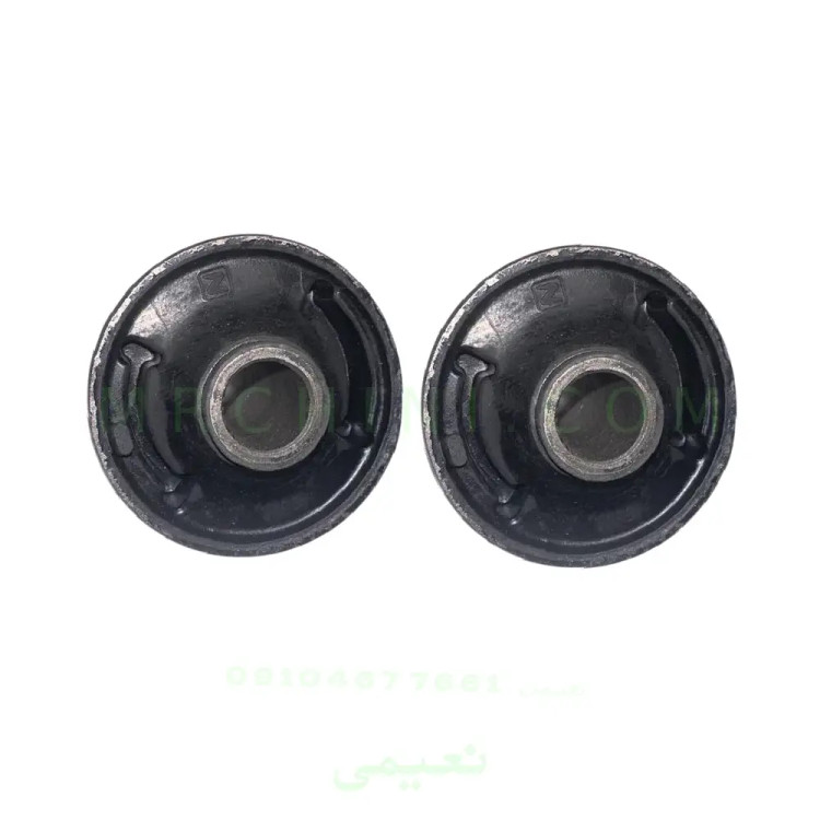 بوش طبق بزرگ آریو Z300